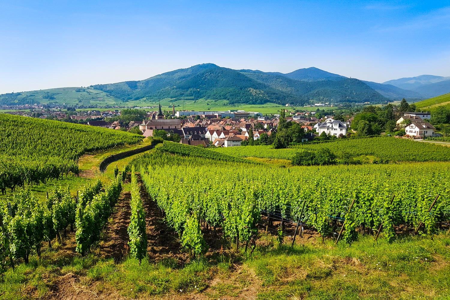 alsace-wine-route-colmar-france-hidden-gems-travel